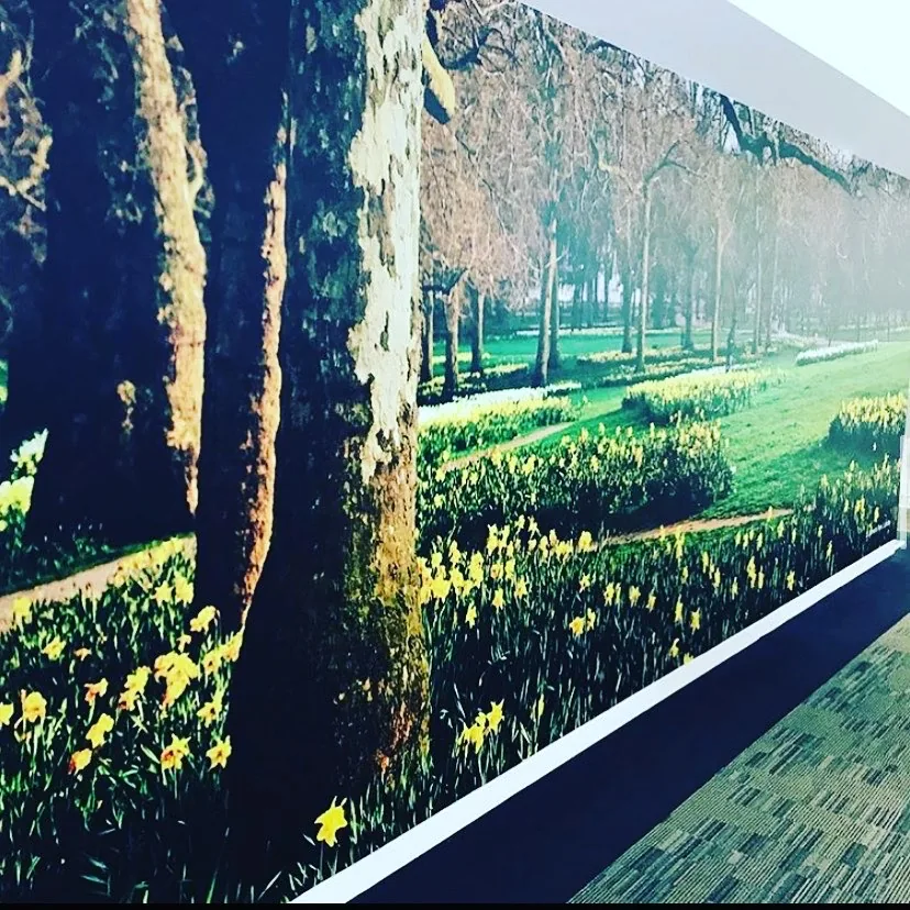 Nature-Inspired Vinyl Wall Mural Installation in Paddington, London